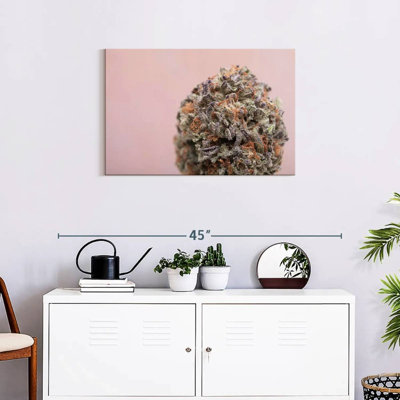 Bourgeon de marijuana