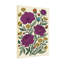 Plantes et fleurs Fleurs mauves Marguerites jaunes Feuilles vertes Bourgeons oranges-1194575604
