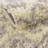 Abstract Indoor Rug-71186191