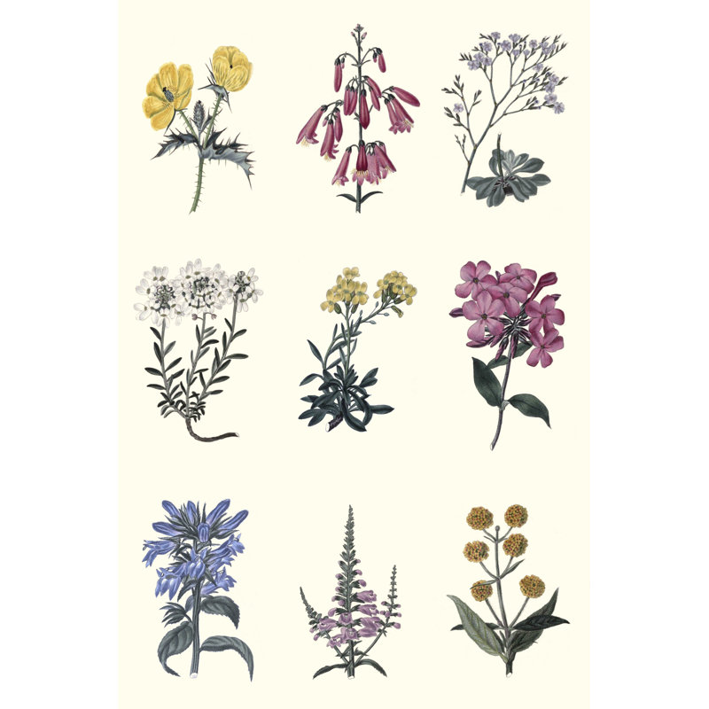 Tableau floral antique, H 18 po x l 12 po