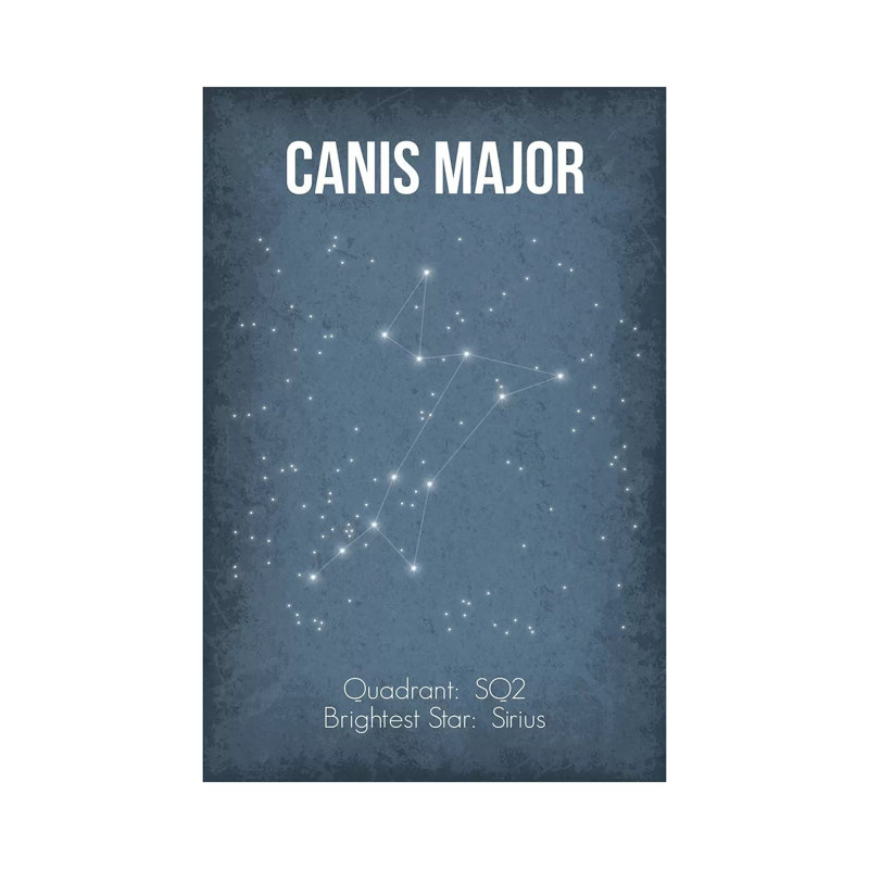 Canis Major by GetYourNerdOn - Wrapped Canvas Gallery-Wrapped Canvas Giclée, 20.32 cm H x 30.48 cm W