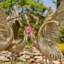 Assortiment de figurines de jardin héron doré métallique (ensemble de 4)