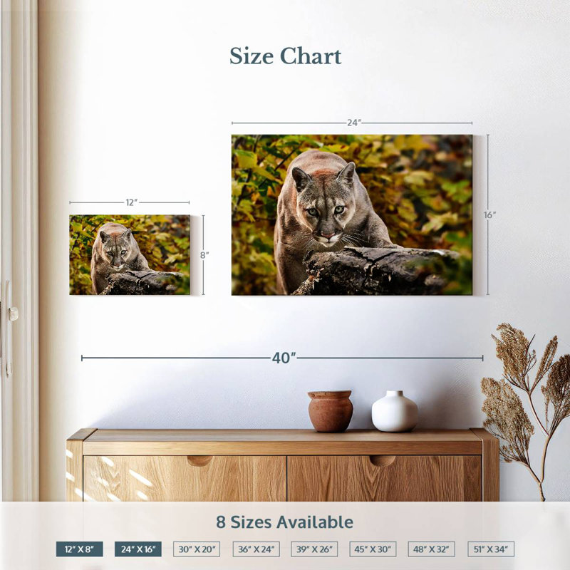 Cougar de chasse Brampt, H 16 po x l 24 po