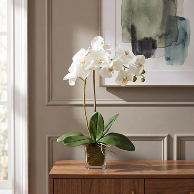 Kora Orchid Arrangement in Square Glass Vase