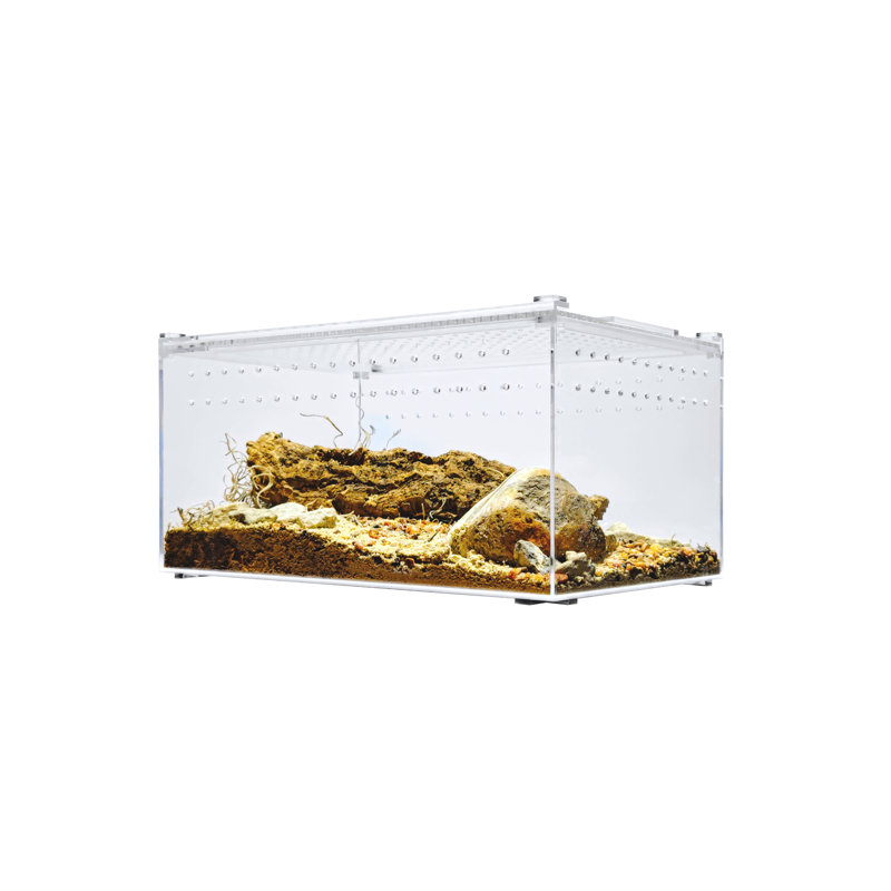 Acrylic Reptile Terrarium, 3 Gallon - 6"H x 8"W x 12"D