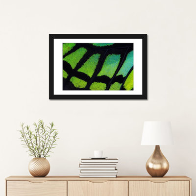 « papillon à voilure macro-photographie xiii », reproduction de photo sur toile