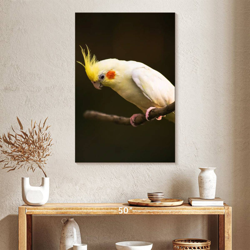 Cockatiel Rosy Cheeked, H 39 po x l 26 po