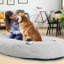 Lit pour chien PureWags