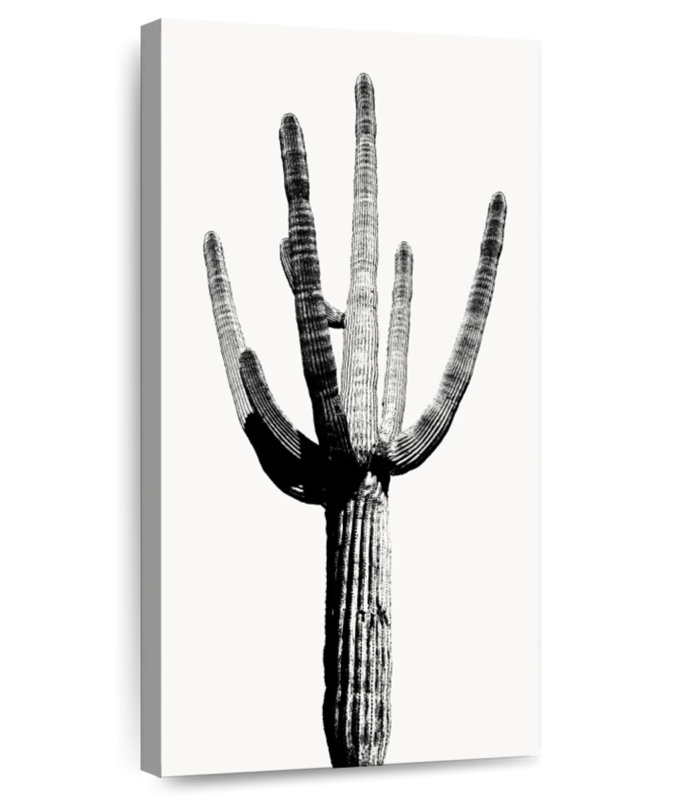 Saguaro noir et blanc I, H 54 po x l 27 po