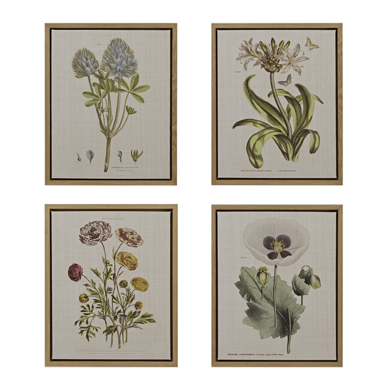 Herbal Botany 4-Piece Framed Canvas Wall Art Set with Botanical Illustrations