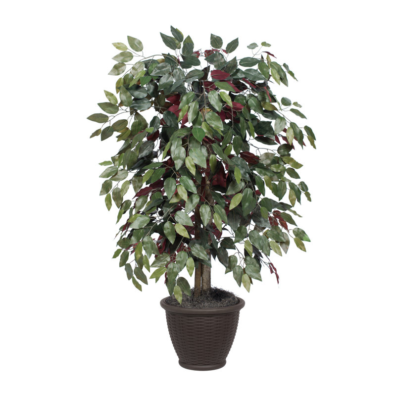 Arbre en pot artificiel de luxe Capensia, Brun