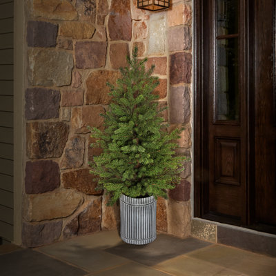 57" Pe Potted Spruce Tree In Tin