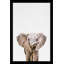 Bébé éléphant par - photographie-406450592-406450602