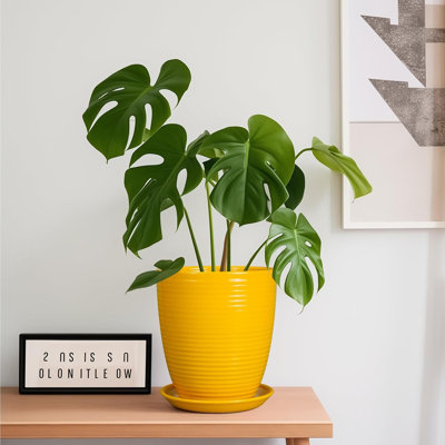 8 Inch Glossy Yellow Ceramic Planter Pot