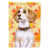 Beagle blanc