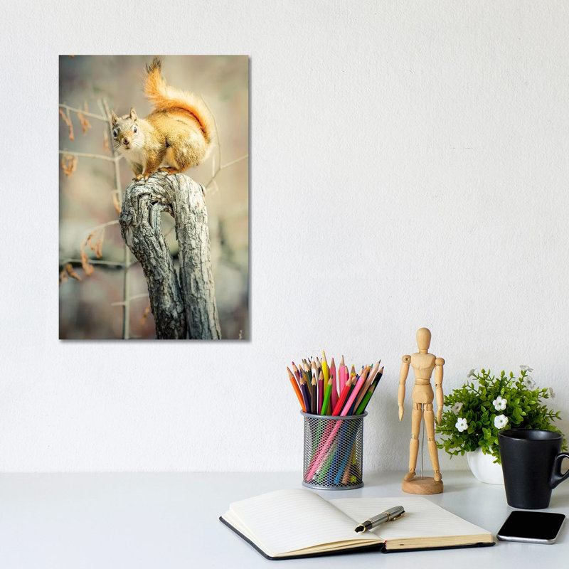 Squirrel on Curved Branch 1 Piece Wrapped Canvas Wall Art, 20.32 cm H x 30.48 cm W
