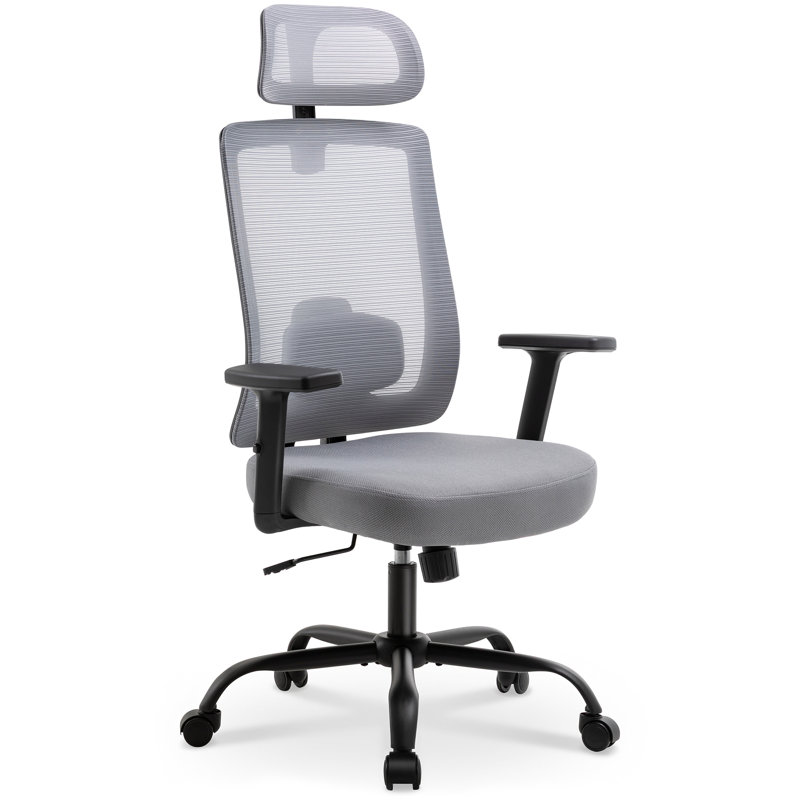 Ergonomic Mesh Office Task Chair, Gray