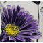  Housse et insert de coussin carré brodé de fleurs-2078077038