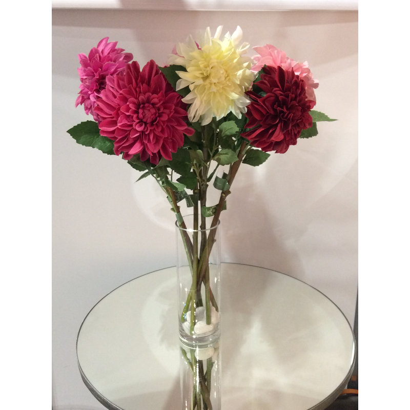 Dahlia, Dark Pink