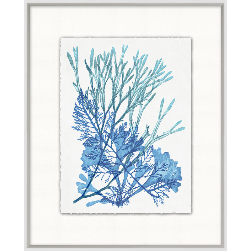 «Azure Ocean Herbarium», reproduction d'art graphique encadrée 2 po