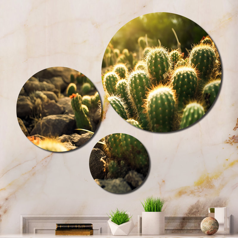 Plants & Flowers Wall Decor on Metal