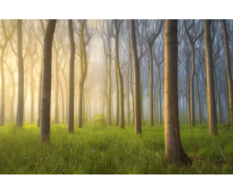 Wrapped Canvas Print, 60.96 cm H x 91.44 cm W