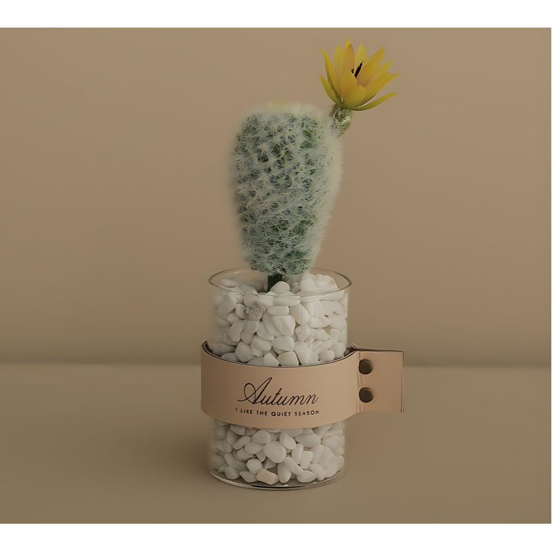 Cactus de 8,66 po