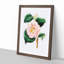 Pink Camellia Flowers - Picture Frame Painting Print-55583692-55583693
