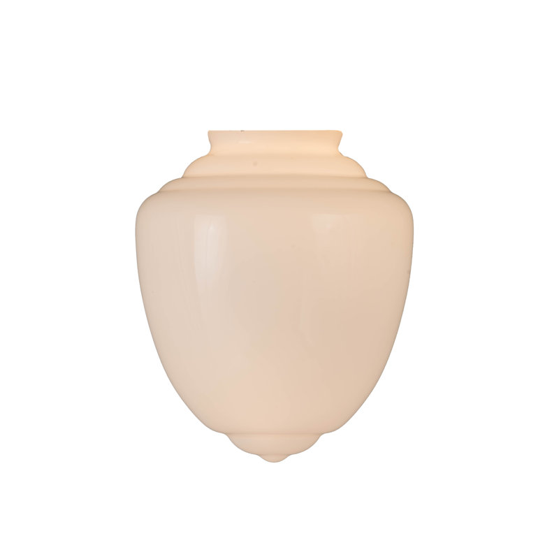 Novelty Lamp Shade