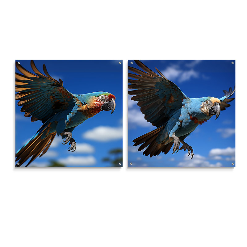 Perroquets ailes de beauté - ensemble de 2 peintures murales en acrylique, H 16 po x l 33 po