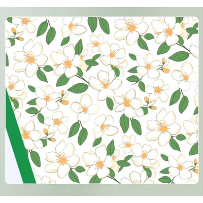 Tapis pour chien (ensemble de 100)