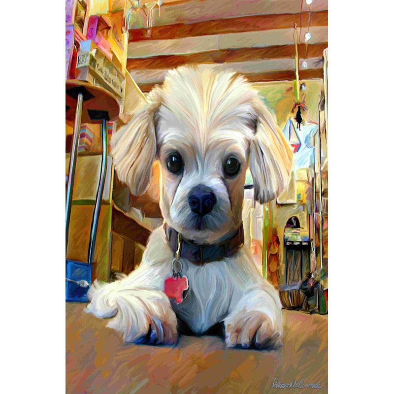 Mazel Dog, H 18 po x l 12 po