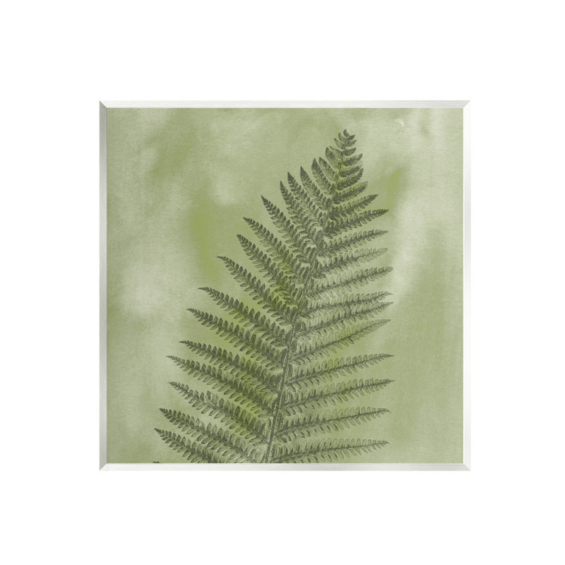 Art sauvage sur toile de fougère sauvage par Ziwei Li, L 12 po x H 12 po, Unframed