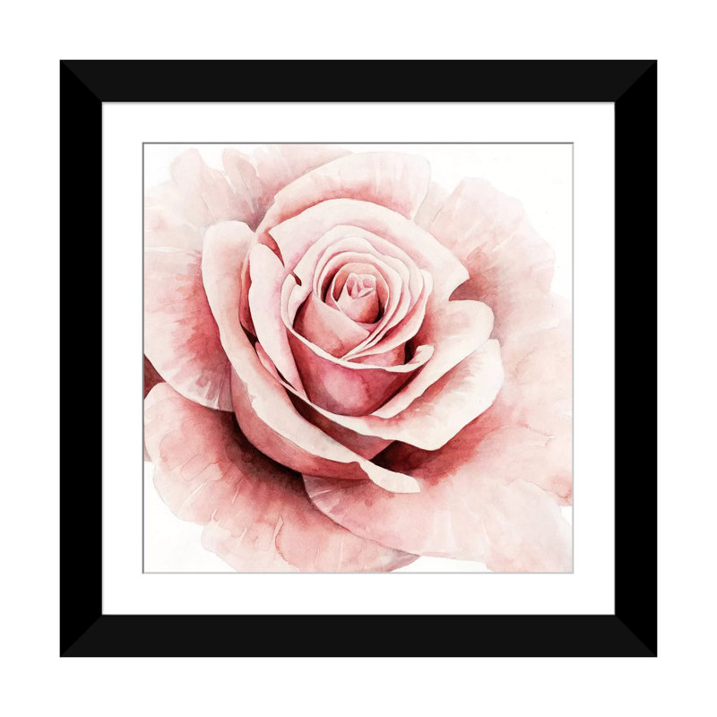 Rose rose I - reproduction sur toile, H 24 po x l 24 po x P 1 po, Papier d'art encadré noir, Blanc