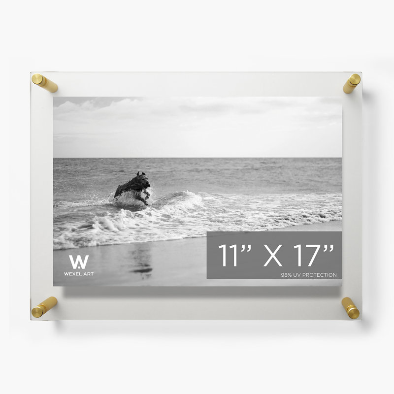 Clear UV-Grade Acrylic Modern Floating Picture Frame, Gold, 11" W x 17" H