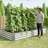 8x4 Ft Galvanized Steel Raised Garden Bed Kit - 1ft High, Outdoor Metal Planter Box for Vegetables, Herbs, Flowers & Plants | Easy Assembly, Rust-Resistant, Durable，set of 5-2054671591-2054671588