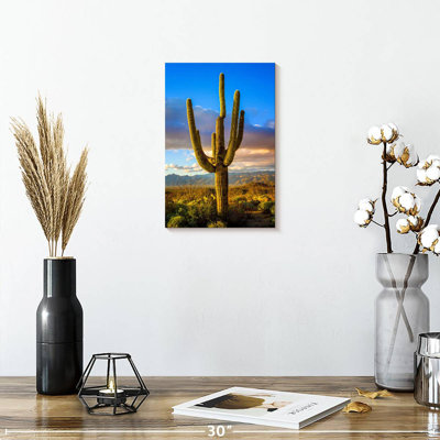 Parc national Harnek Saguaro Est III