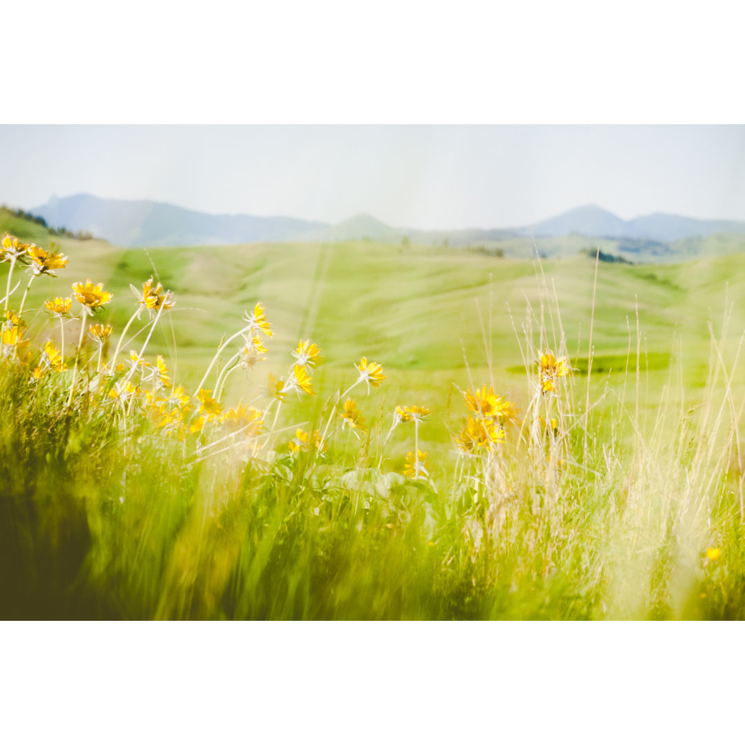 Frühling Wildblumen von Debibishop - Ohne Rahmen auf Leinwand