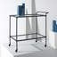 Isabellina Metal and Glass Bar Cart