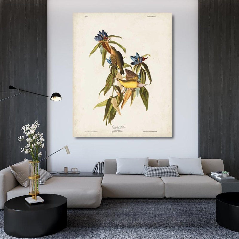 «Red Barrel Studio® Audubon, John James Gallery», reproduction d'art sur toile, Pl 138 Connecticut Warbler, H 44 po x l 36 po