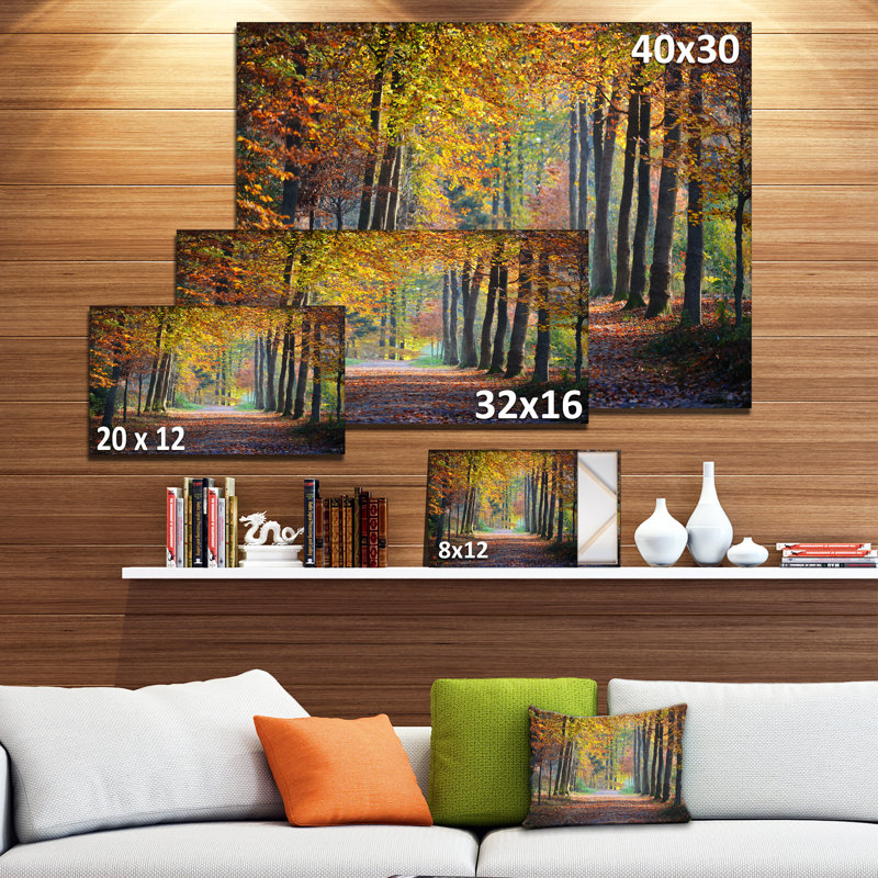 Wide Pathway in Yellow Fall Forest - Photograph Print, 16" H x 32" W x 1" D, Wrapped Canvas