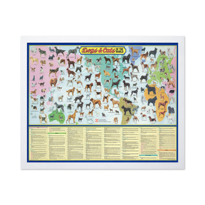 Chiens et chats du monde