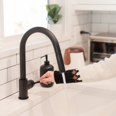 ZLINE Gemini Kitchen Faucet