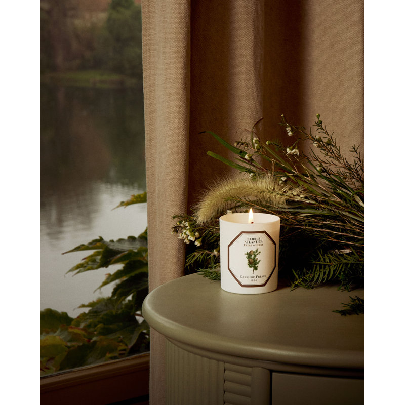 Cedar Candle