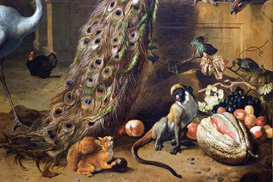 Singe et écureuil avec melon de peacock (détail)-impression d’art graphique, H 28 po x l 42 po x P 1,5 po