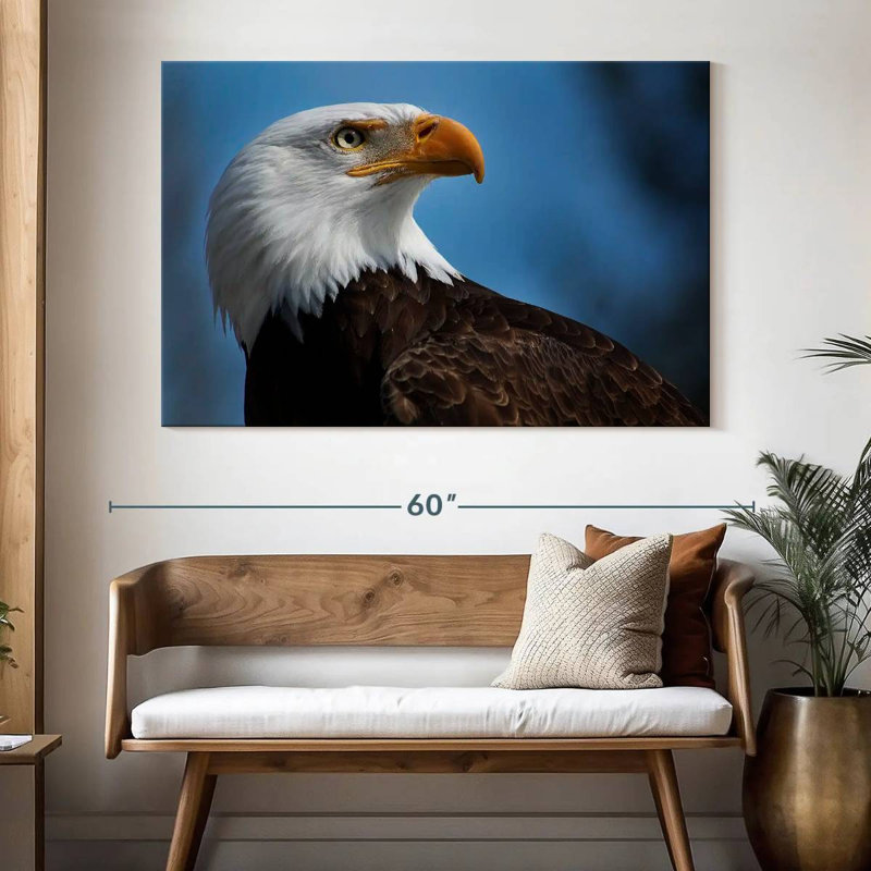 Aigle à tête blanche Brampt, H 34 po x l 51 po
