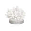 Petite sculpture en corail texturé blanc Bernardus