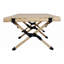 Table de pique-nique portable
