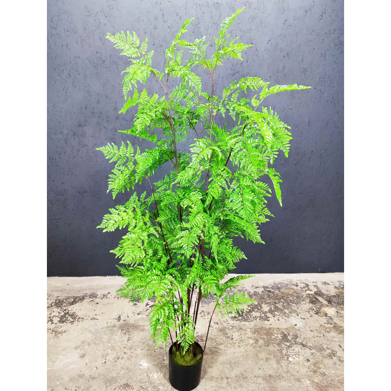 Fougère artificielle artificielle, H 74 po x l 31 po x P 31 po
