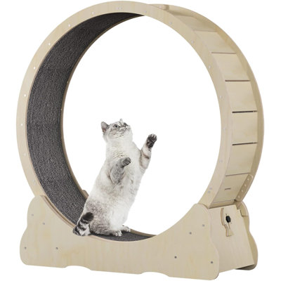 Donyetta Cat Perch